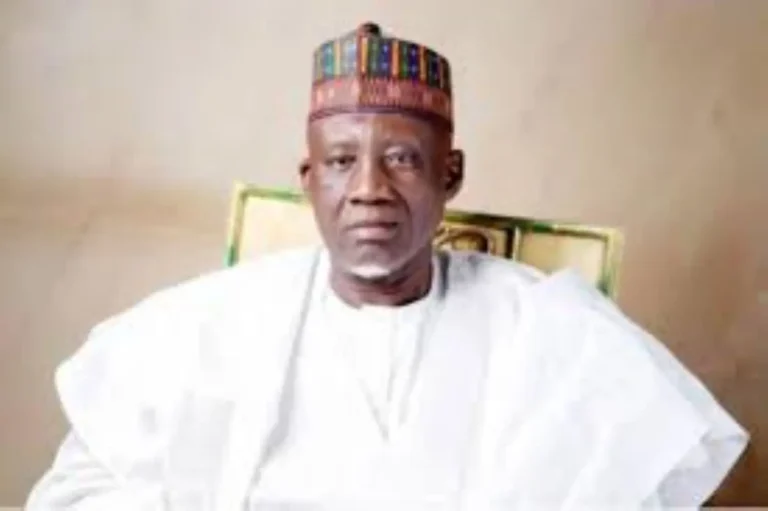 Dingyadi: Magu retired before his promotion was approved