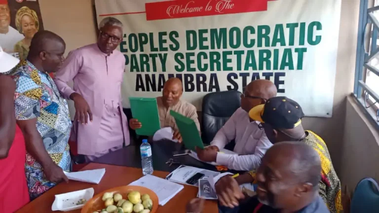 Eloka Clement Ikeh Emerges Candidate for 2023 PDP Nnewi North State House Of Assembly Election