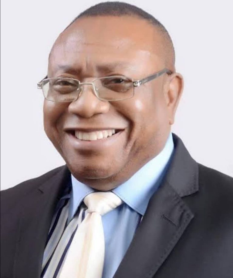 Oghene wins PDP Reps ticket for Amuwo Odofin Federal Constituency in Lagos PDP primaries