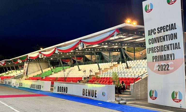 Fani-Kayode attacks Northern governors: APC Presidential Primaries