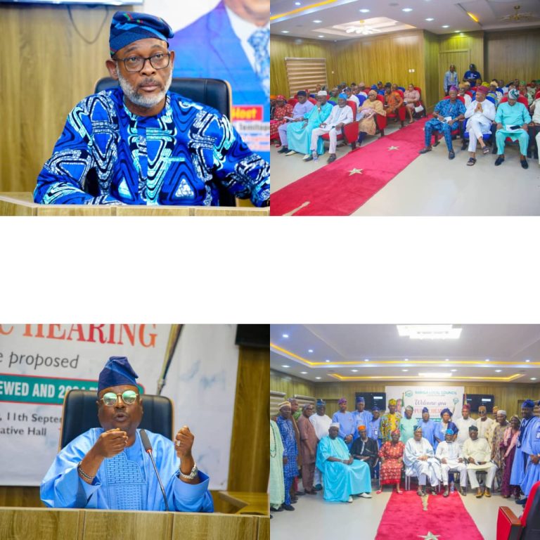 Hon Alabi Calls For Harmonization,As He Attends Bariga Legislative Arm Public Hearing On Proposed Bye Laws.