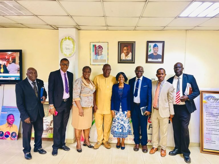 Makinde Offers Healthcare Template to FG, Zulum Condemns Boko Haram/ISWAP Attacks in Borno